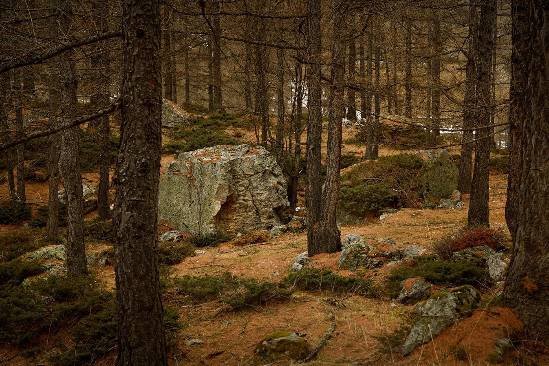 Rifugio Lou Lindal 호텔 카노시오 외부 사진